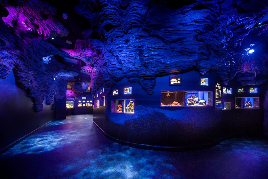 🐠 누마즈항 심해수족관 (Numazu Deep Sea Aquarium) 이미지 1